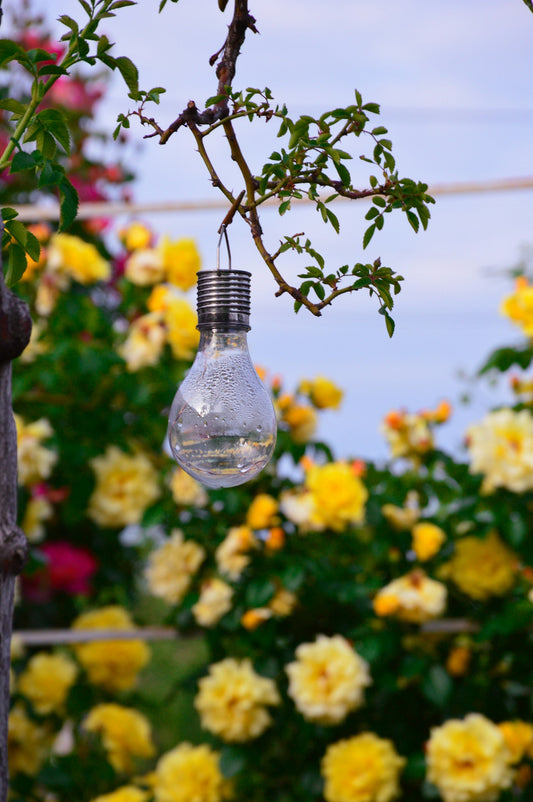 Skift til havebelysning med solceller – en guide til grønnere udendørs lys