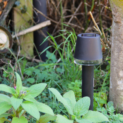 Eng Solcelle havelampe