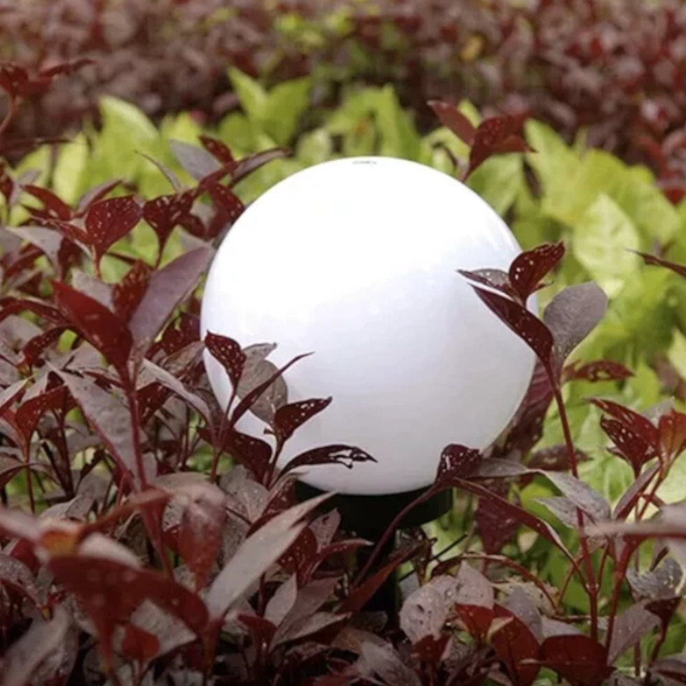 Skov kuglelampe 6 pak